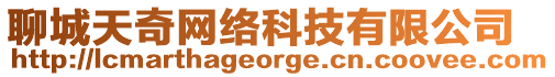 聊城天奇網(wǎng)絡(luò)科技有限公司