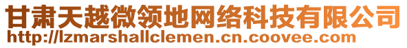 甘肅天越微領(lǐng)地網(wǎng)絡(luò)科技有限公司