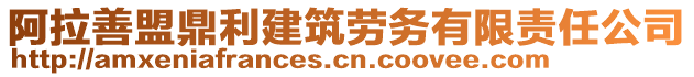 阿拉善盟鼎利建筑勞務(wù)有限責(zé)任公司