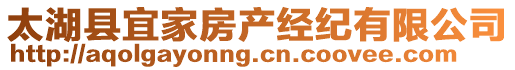 太湖縣宜家房產(chǎn)經(jīng)紀(jì)有限公司