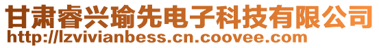 甘肅睿興瑜先電子科技有限公司