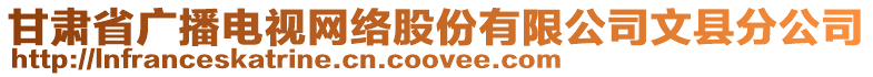 甘肅省廣播電視網(wǎng)絡(luò)股份有限公司文縣分公司