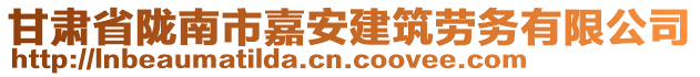 甘肃省陇南市嘉安建筑劳务有限公司