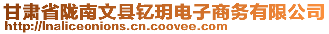 甘肅省隴南文縣釔玥電子商務(wù)有限公司