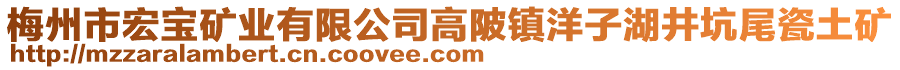 梅州市宏寶礦業(yè)有限公司高陂鎮(zhèn)洋子湖井坑尾瓷土礦