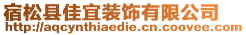 宿松縣佳宜裝飾有限公司