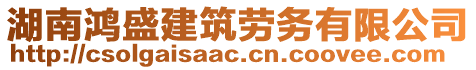 湖南鴻盛建筑勞務(wù)有限公司