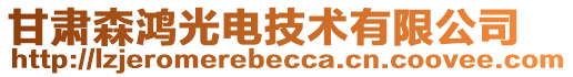 甘肅森鴻光電技術(shù)有限公司