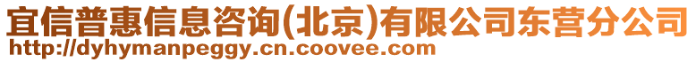 宜信普惠信息咨询(北京)有限公司东营分公司