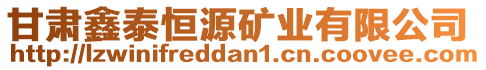 甘肅鑫泰恒源礦業(yè)有限公司