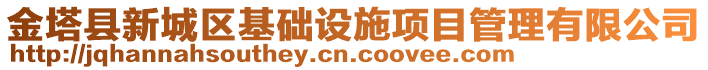 金塔縣新城區(qū)基礎設施項目管理有限公司