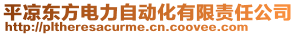 平涼東方電力自動化有限責任公司