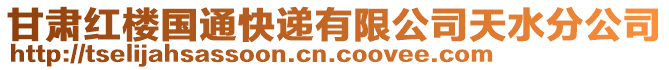 甘肅紅樓國(guó)通快遞有限公司天水分公司