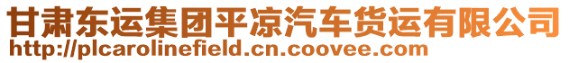 甘肅東運(yùn)集團(tuán)平?jīng)銎囏涍\(yùn)有限公司