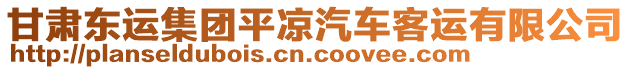 甘肅東運(yùn)集團(tuán)平?jīng)銎嚳瓦\(yùn)有限公司