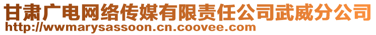 甘肅廣電網(wǎng)絡(luò)傳媒有限責(zé)任公司武威分公司