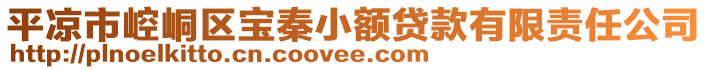 平?jīng)鍪嗅轻紖^(qū)寶秦小額貸款有限責任公司