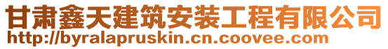 甘肅鑫天建筑安裝工程有限公司