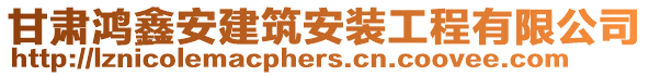 甘肅鴻鑫安建筑安裝工程有限公司