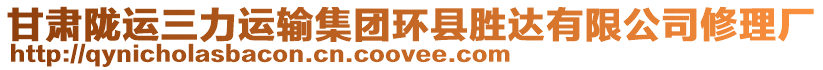 甘肅隴運(yùn)三力運(yùn)輸集團(tuán)環(huán)縣勝達(dá)有限公司修理廠