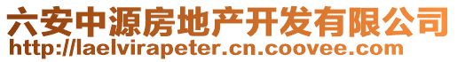 六安中源房地產(chǎn)開發(fā)有限公司