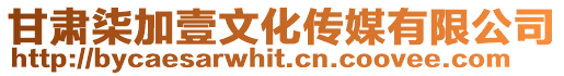 甘肅柒加壹文化傳媒有限公司