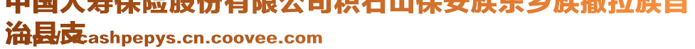 中國(guó)人壽保險(xiǎn)股份有限公司積石山保安族東鄉(xiāng)族撒拉族自
治縣支