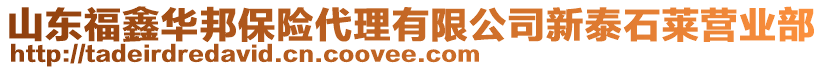 山東福鑫華邦保險(xiǎn)代理有限公司新泰石萊營業(yè)部