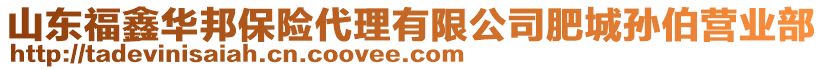 山東福鑫華邦保險代理有限公司肥城孫伯營業(yè)部