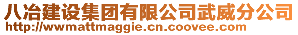 八冶建設(shè)集團有限公司武威分公司