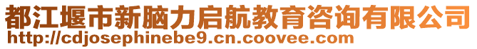 都江堰市新腦力啟航教育咨詢有限公司