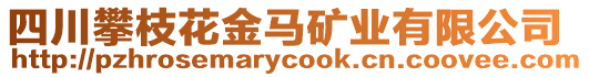 四川攀枝花金馬礦業(yè)有限公司