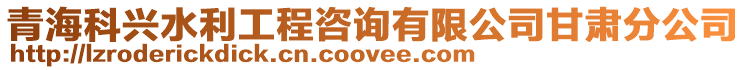青海科興水利工程咨詢有限公司甘肅分公司