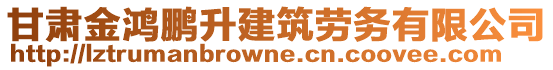 甘肅金鴻鵬升建筑勞務(wù)有限公司