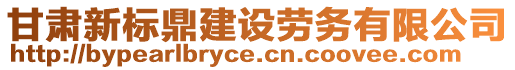 甘肅新標(biāo)鼎建設(shè)勞務(wù)有限公司