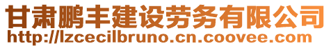 甘肅鵬豐建設(shè)勞務(wù)有限公司