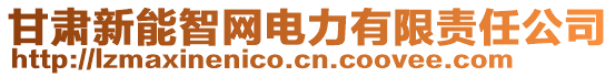 甘肅新能智網(wǎng)電力有限責(zé)任公司