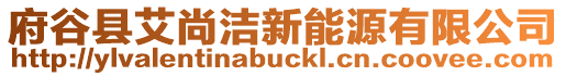 府谷縣艾尚潔新能源有限公司