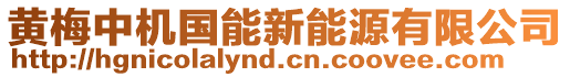 黃梅中機(jī)國(guó)能新能源有限公司