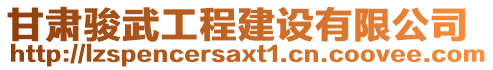 甘肅駿武工程建設(shè)有限公司