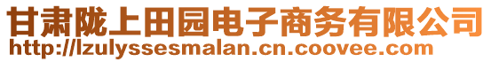 甘肅隴上田園電子商務(wù)有限公司