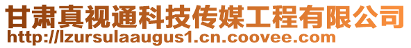 甘肅真視通科技傳媒工程有限公司