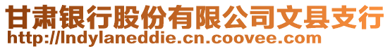 甘肅銀行股份有限公司文縣支行