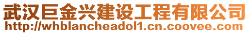 武漢巨金興建設(shè)工程有限公司