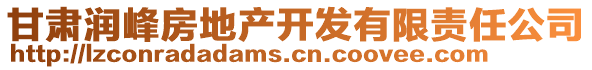 甘肅潤峰房地產(chǎn)開發(fā)有限責(zé)任公司