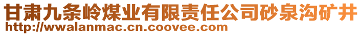 甘肅九條嶺煤業(yè)有限責(zé)任公司砂泉溝礦井