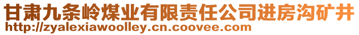 甘肃九条岭煤业有限责任公司进房沟矿井