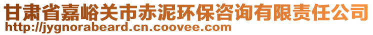 甘肅省嘉峪關(guān)市赤泥環(huán)保咨詢有限責任公司