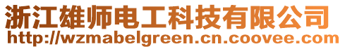 浙江雄師電工科技有限公司