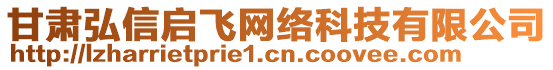 甘肅弘信啟飛網(wǎng)絡(luò)科技有限公司